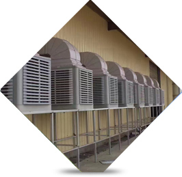 高質(zhì)原料 質(zhì)量源頭把控